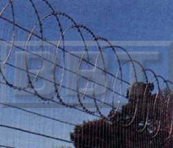 Razor Wire Concertina